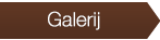 visit-gallery